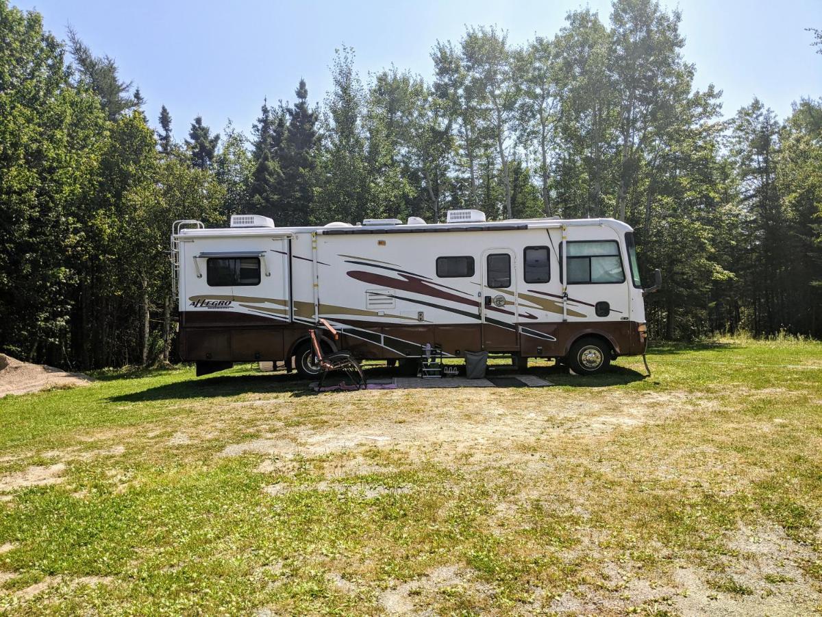 Jacques Cartier Motel Σίδνεϊ Εξωτερικό φωτογραφία