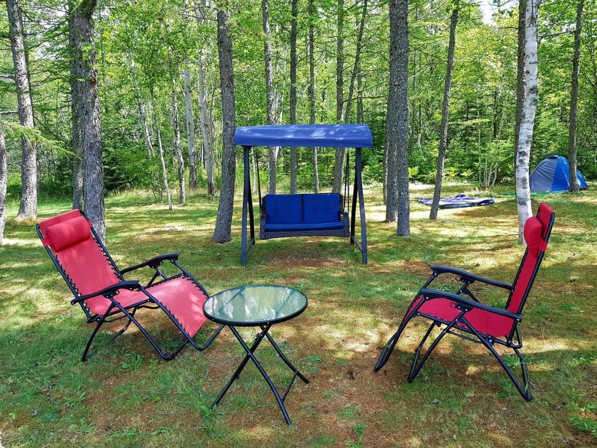 Jacques Cartier Motel Σίδνεϊ Εξωτερικό φωτογραφία