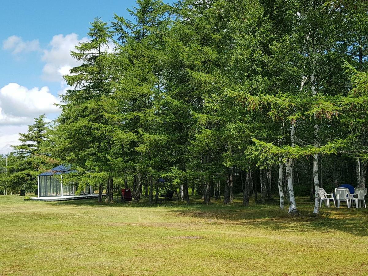 Jacques Cartier Motel Σίδνεϊ Εξωτερικό φωτογραφία